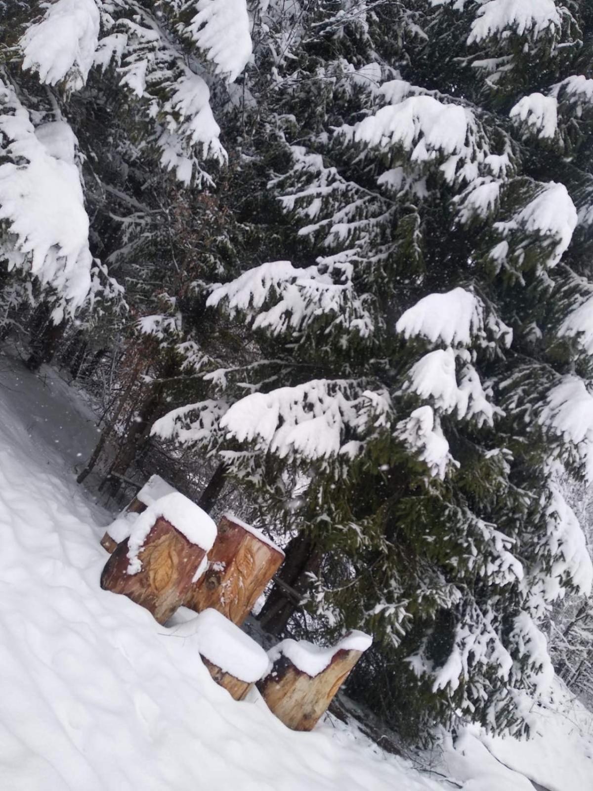Lodge Riviera