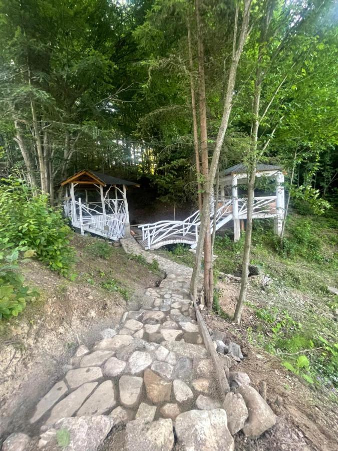 Lodge Riviera *