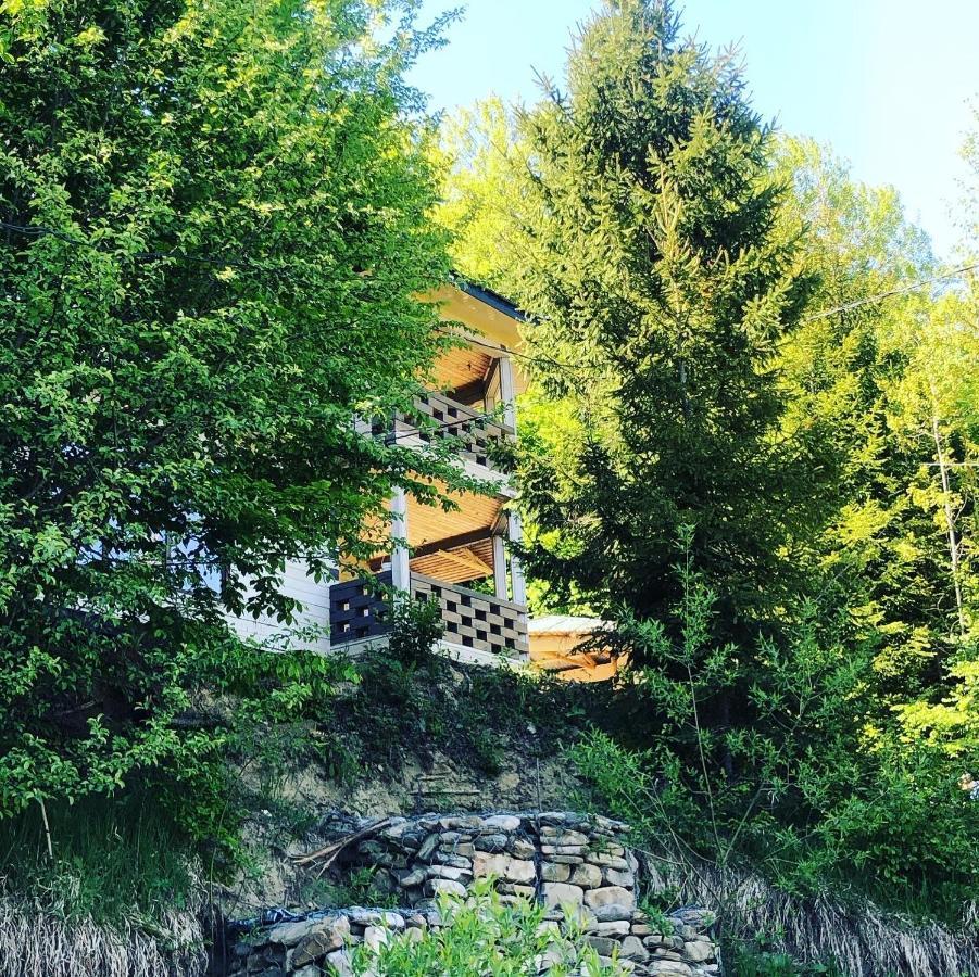 Lodge Riviera *